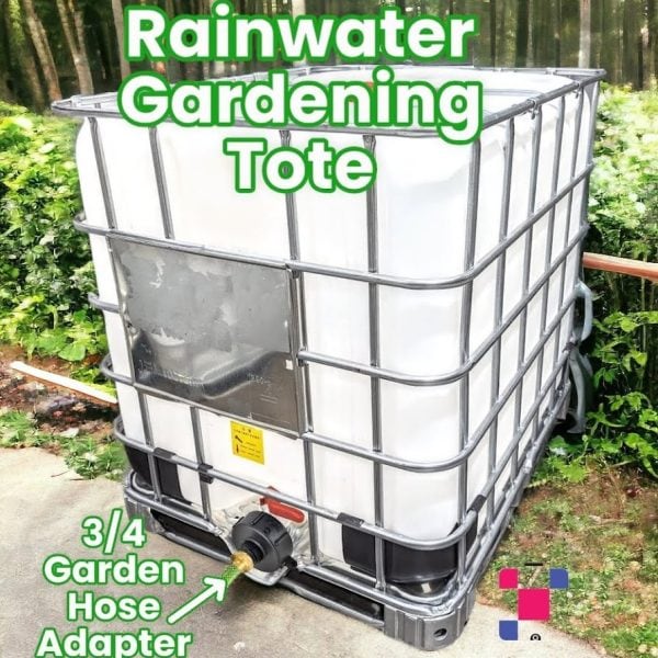 IBC 1L RCN TLT GDN 600x600